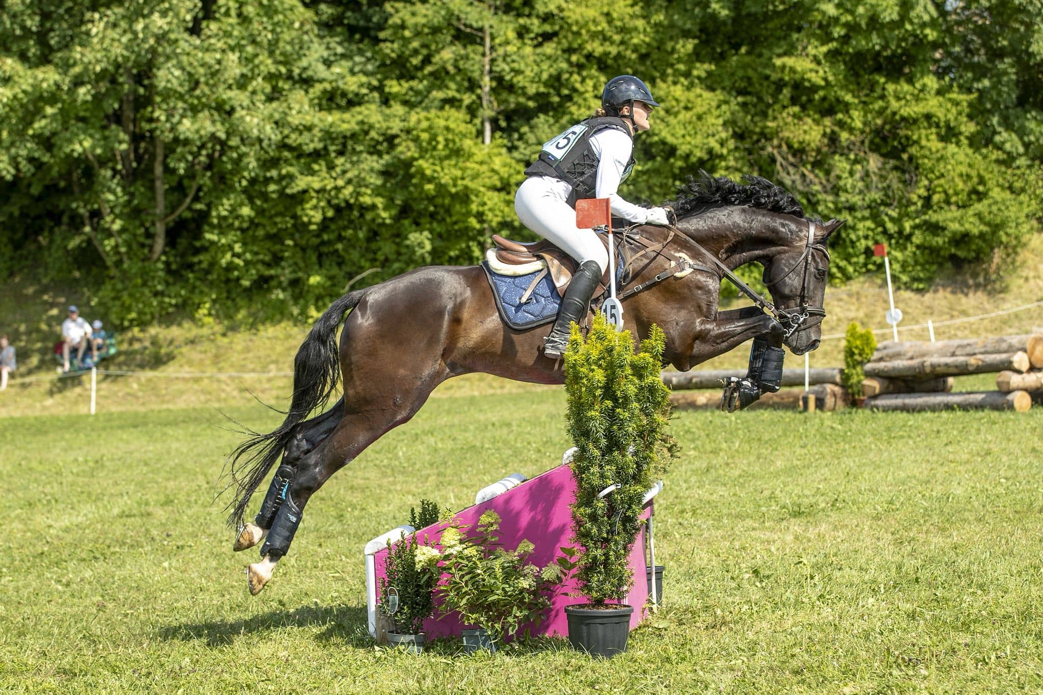 Dark bay sport horse jumping a cross-country fence with its rider at a Swiss event, sell your horse for free on RideBase