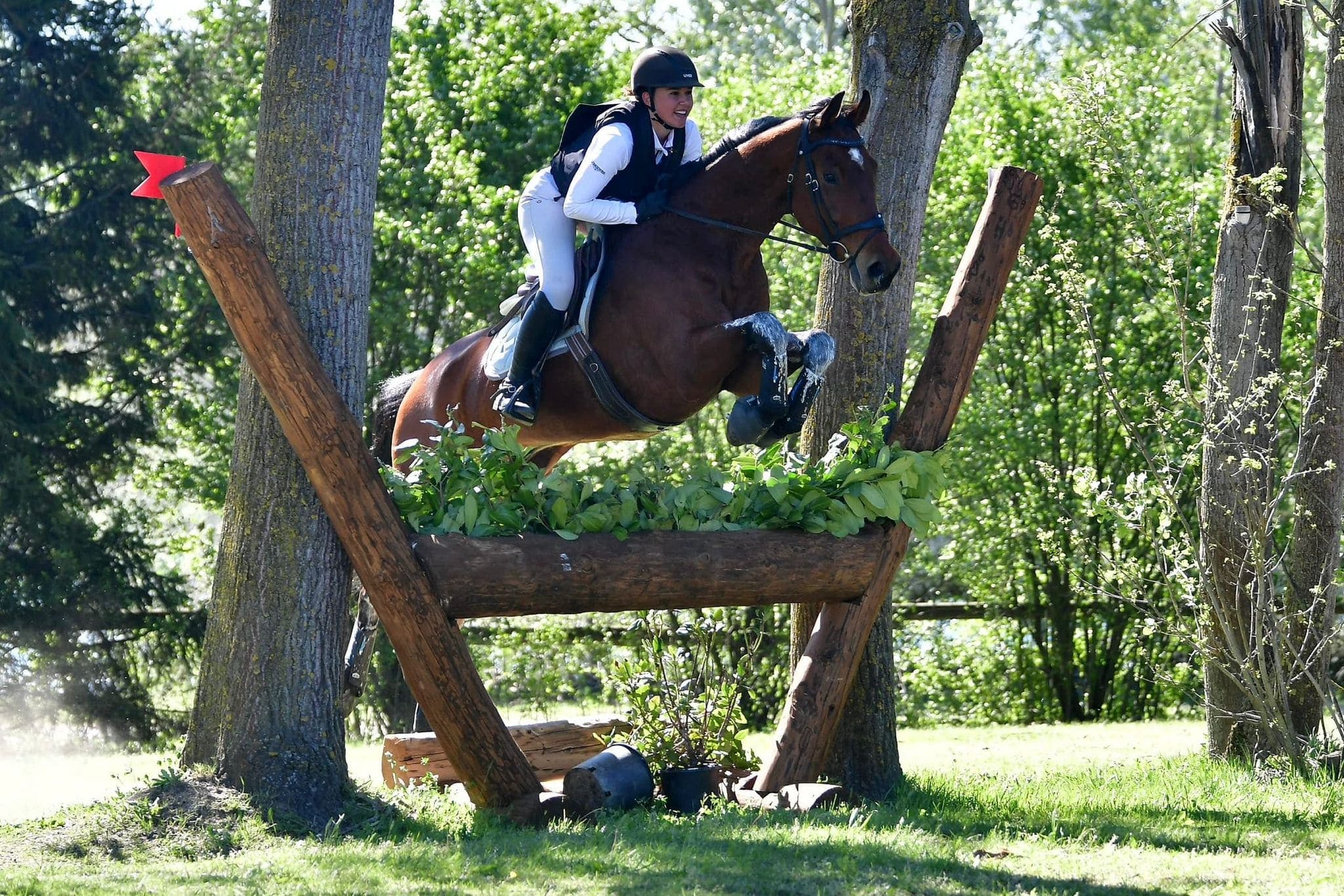 Rider on a bay horse jumping a cross-country fence with snow-capped Swiss Alps in the background