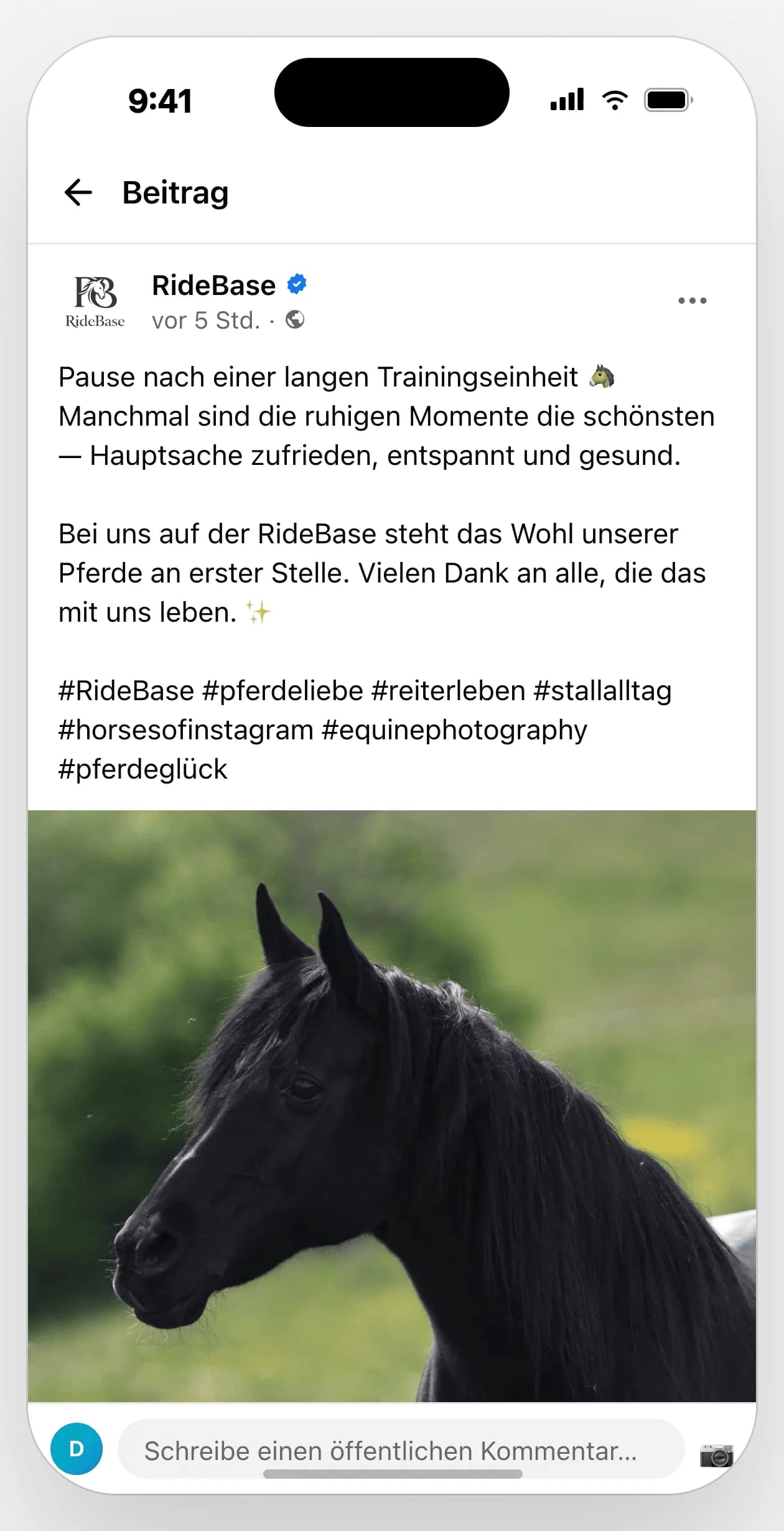Facebook-Beitrag von RideBase mit einem Pferd auf der Weide, wir teilen jedes Inserat kostenlos auf Social Media