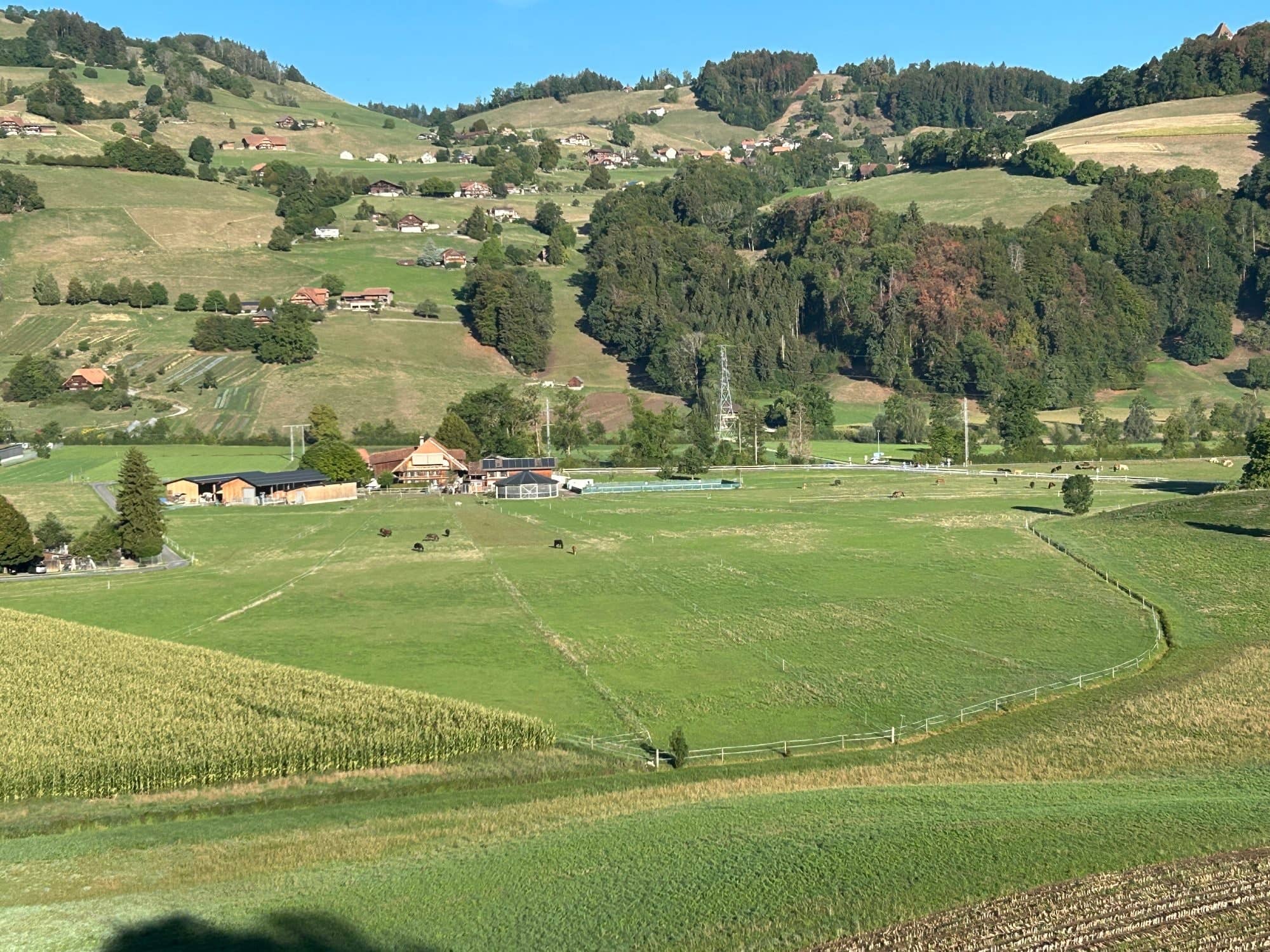 Auslaufboxe im schönen Gürbetal frei