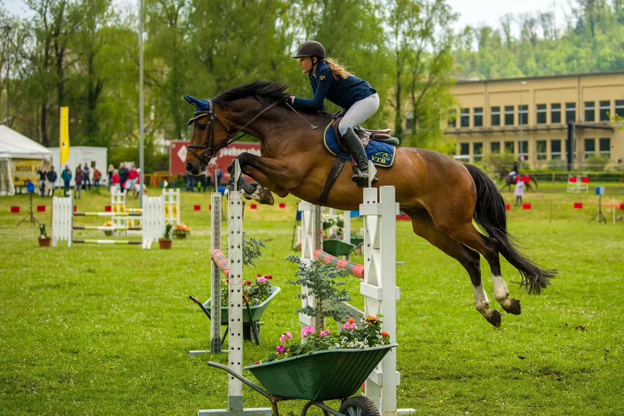 Show jumper clearing a flower-decorated fence with her horse at a Swiss competition, RideBase is the marketplace for everything horse